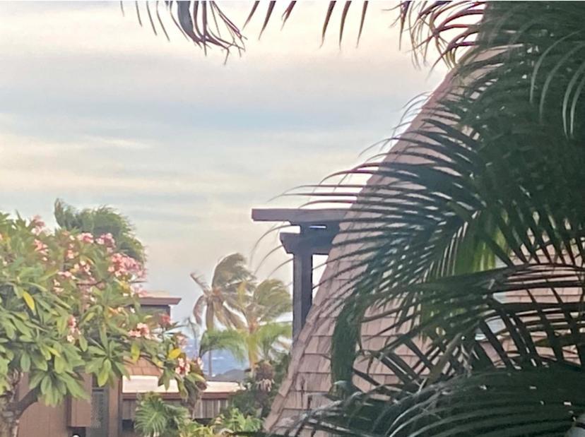 Pahala Charming 1 Bedroom Beach Condo Prime Location Great Value المظهر الخارجي الصورة